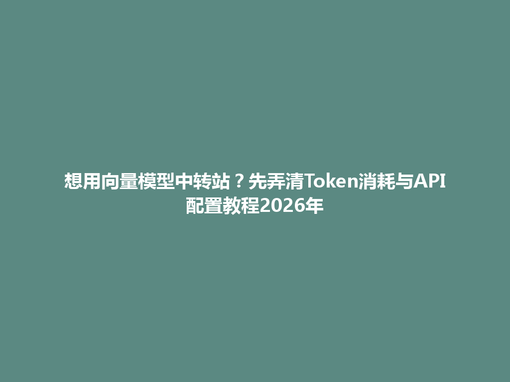 想用向量模型中转站？先弄清Token消耗与API配置教程2026年 一