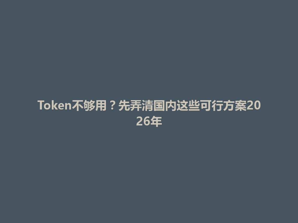 Token不够用?先弄清国内这些可行方案2026年 一